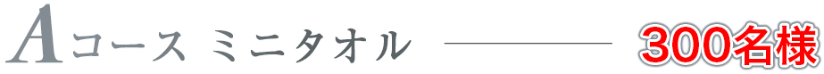 Aコース ミニタオル